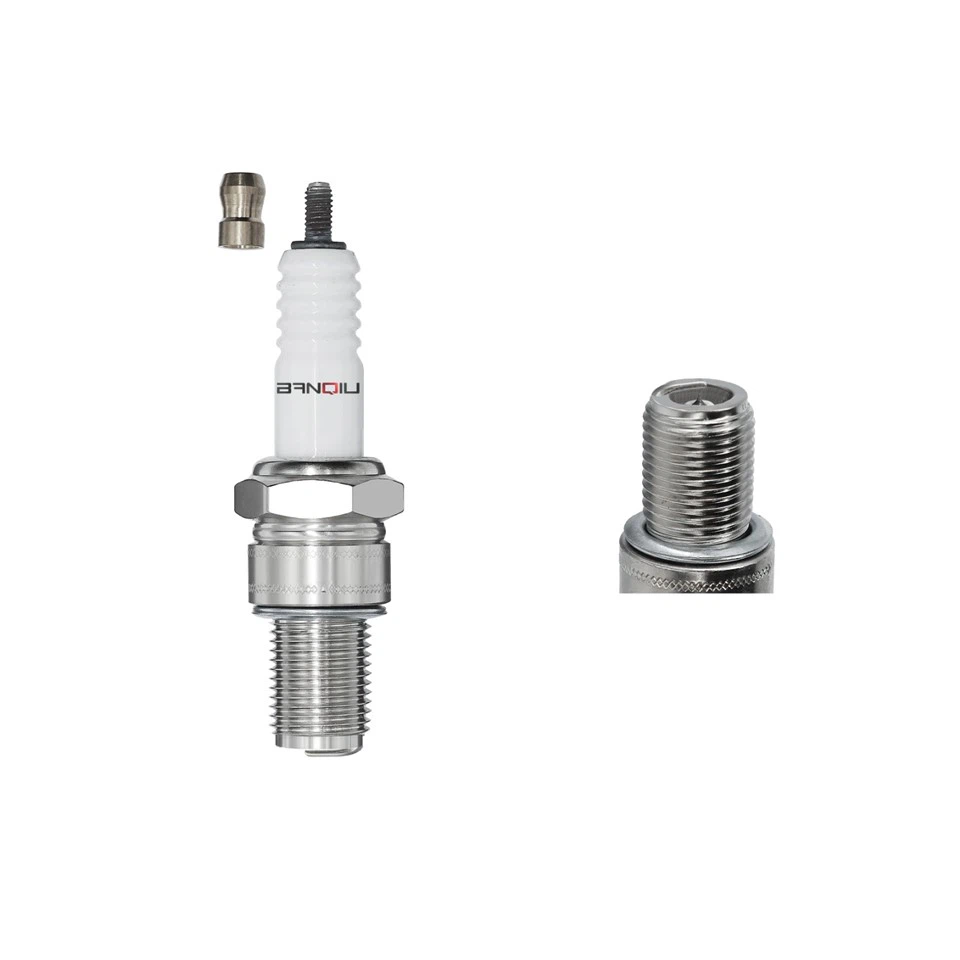 Platin -Zündkerze B9EGP 2176